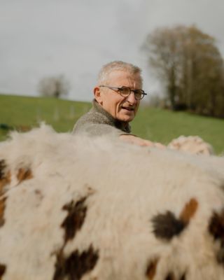 • Le Camembert de Normandie 🐮

L’incontournable, le seul, l’unique… le Camembert de Normandie. Il nous était impossible de traverser le département de l’Orne sans déguster ce fromage de caractère à la renommée internationale, qui fait la fierté des normands. Et pour cause. Sa fabrication singulière réclame un travail minutieux.

Patrick Mercier, producteur fermier de Camembert de Normandie, nous a ouvert les portes de la Ferme du Champ Secret.

→ Une étape gourmande à découvrir dans notre vadrouille normande (lien en bio).

Des amatrices et amateurs de camembert par ici ? 🤤

#normandie #orne #camembert #camembertdenormandie #fromage #normandietourisme #ornetourisme