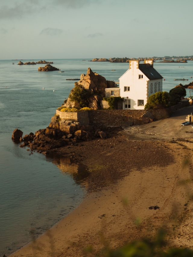 • La Bretagne, à pleines dents 😋

Sur le territoire de Guingamp – Baie de Paimpol, on a le pied aussi bien marin que terrien, et surtout, le cœur grand ouvert.

🌊 Côté mer, il y a cet air iodé qui flotte sur le port de Paimpol, la pêche du jour que l’on remonte à Loguivy, les parcs à huîtres qui se dévoilent au rythme des marées.

🌱 Côté terre, d’autres merveilles nous attendent : un beurre baratté à l’ancienne, des fermes où l’on élève, transforme, mijote avec soin.

📍 Nos adresses coup de 💙 :
🦪 Les huîtres iodées de @huitres_arin_paimpol 
🧈 Le beurre @couleurfroment , « Le meilleur beurre du monde »
🍶 Le fameux Gwell de la Ferme du Kerbiguet
🦞 Le homard bleu chez Viviers Dauphin
🧺 Le marché de Paimpol, tous les mardis matin
🥞 La crêperie @lostpic_creperie_ 
🥪 Les trésors de @vivres.lepicerie 

🔗 « À pleines dents », un reportage mêlant récit, photos, podcast et bonnes adresses à découvrir sur le site internet Bobine (lien en bio).

#bretagne #paimpol #cotesdarmor #bzh #guingampbaiedepaimpol #loguivydelamer