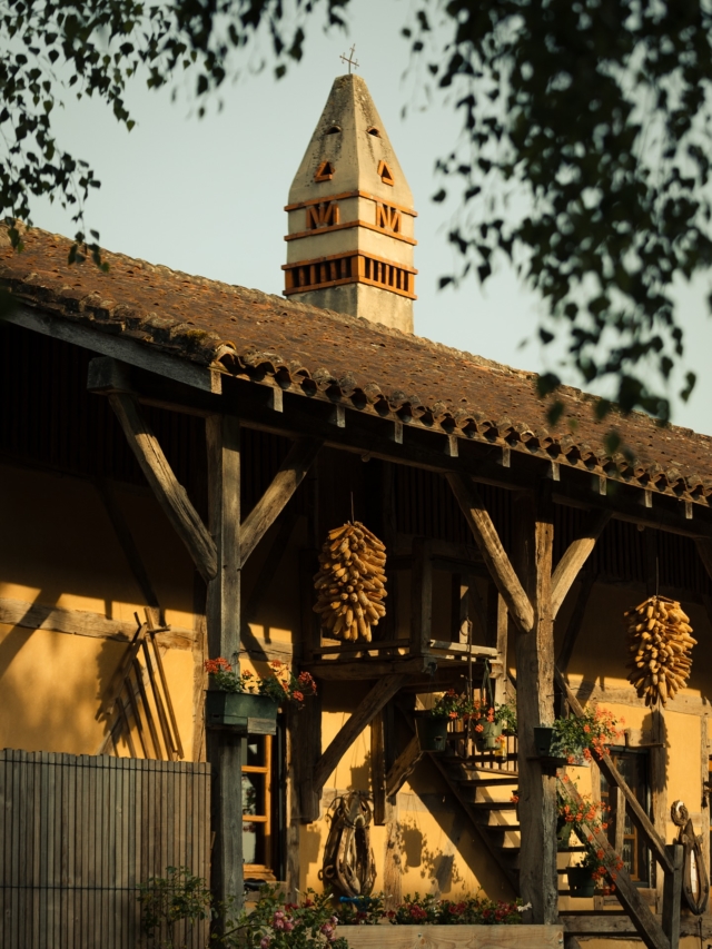 • Saveurs d’enfance à la Ferme-auberge du Colombier 🥘

Au cœur de la campagne bressane, la Ferme-auberge du Colombier incarne à merveille l’esprit des vieilles fermes de la région. Datant du 16e siècle, cette bâtisse à colombages, dominée par une impressionnante cheminée sarrasine, abrite la cuisine généreuse de Vanessa et Julien.

Le couple y perpétue l’art du poulet de Bresse, rôti au feu de bois ou nappé d’une crème au vin jaune, accompagné d’un succulent gratin de pommes de terre. Autour d’une grande tablée, les plats se partagent et chacun se sert à sa guise, pour un repas joyeusement gourmand.

📍 Une adresse coup de 💛 parmi tant d’autres à retrouver dans le guide Bobine – Auberges, actuellement en précommande sur Ulule (lien en bio 👆).

🎁 Dernière semaine pour profiter des tarifs préférentiels et de la livraison offerte !!

#bresse #ain #aintourisme #bourgenbressetourisme #pouletdebresse