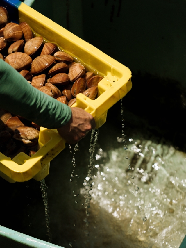 • Lorient, port d’attaches ⚓️

Son nom dit déjà le voyage : Lorient. Un mot qui porte en lui le souffle des traversées lointaines et le parfum des cargaisons venues d’ailleurs. Ville des échanges et des départs, Lorient est aussi celle des retours, des amarres que l’on noue et que l’on défait sans jamais rompre le lien.

Six ports pour une seule et même âme : celle d’une ville ouverte sur l’horizon, mais profondément attachée à ses racines.

💙 24h à Lorient, faites d’adresses et de rencontres qui sentent bon les embruns :

🐚 10h - Débarquement de coquillages pour Ludovic et son bateau Popeye ;
⛵️ 11h – Rencontre avec @marie_tabarly_off et le Pen Duick VI à @citedelavoile ;
🐟 13h – Pause gourmande à @l.etal , poissonnerie-restaurant au centre ville de Lorient ;
🌊 15h – Direction Locmiquelic, face à Lorient, @tanguyleturquais nous raconte son dernier Vendée Globe à bord du Lazare ;
🍽️ 19h – Dîner au @restaurant_louise avec le chef @julien_corderoch , ou comment sublimer la mer dans l’assiette ;
🦐 4h du matin – La criée s’éveille, les premières lumières percent la nuit, les navires de pêche rentrent de leur sortie nocturne.

🔗 « Lorient, port d’attaches » - un reportage mêlant récit, photos, podcast et bonnes adresses à découvrir sur le site internet Bobine (lien en bio 👆).

#lorient #lorientbretagnesudtourisme #morbihan #miamorbihan #tourismebretagne #visitbretagne #bretagne