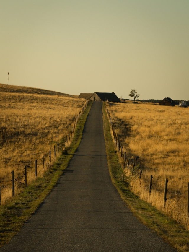 • D’auberge en auberge 🫶🏻

Des tables animées, des casseroles qui chantent, des assiettes généreuses et des souvenirs plein la tête…

Vous êtes nombreuses et nombreux à nous l’avoir demandé : le guide Auberges est de retour en stock 🎉 L’occasion de découvrir, sur 196 pages, des adresses où l’on mange bien, où l’on dort parfois, mais surtout où l’on se sent attendu. Pour commander votre exemplaire le lien est en bio 👆🏻 (stock limité !)

Et parce que ces histoires appellent une suite, nous reprenons bientôt la route. De nouveaux projets se dessinent, guidés par un maître mot qui nous accompagne plus que jamais : la simplicité. Si vous avez des pépites près de chez vous (auberges 🍽️, boulangeries 🍞, fromageries 🧀 ou autres lieux de cœur), n’hésitez pas à nous les partager ✍🏻

Justine & François

#auberges #cuisinelocale #bienmanger #surlaroute #GuideAuberges